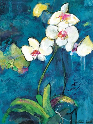 Framed Phalaenopsis II Print