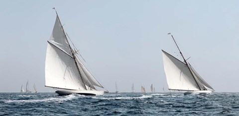 Framed Sailing South A Print