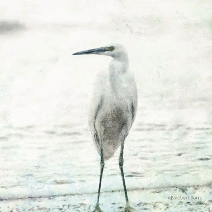 Framed Beach Heron Print