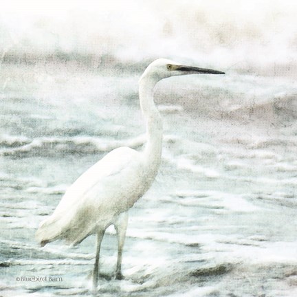 Framed Coastal Heron Print