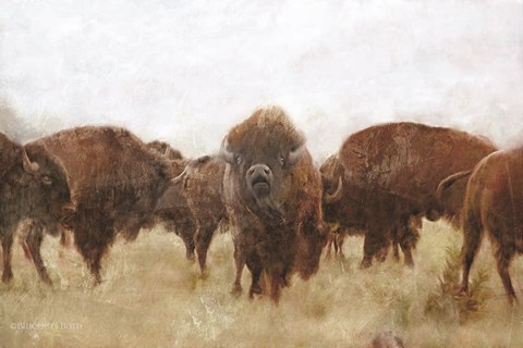 Framed Buffalo Print