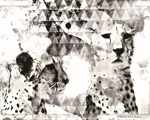 Framed Modern Black &amp; White Cheetahs Print