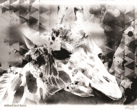 Framed Modern Black &amp; White Giraffe Print
