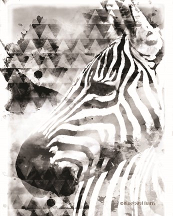 Framed Modern Black &amp; White Zebra Print
