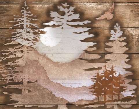 Framed Great Outdoors II Print