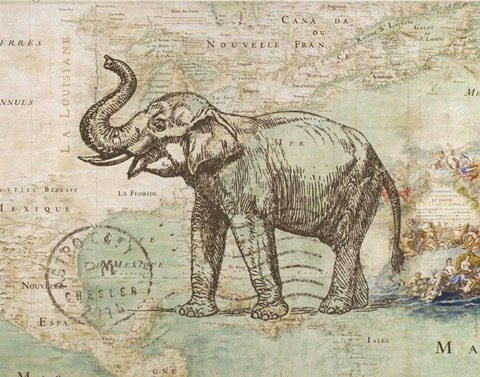 Framed Elephant Trunk II Print