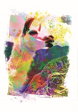 Framed Funky Rainbow Llama II Print