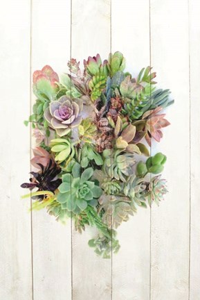 Framed Succulent Bouquet I Print