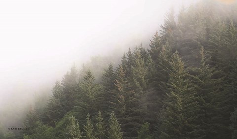 Framed Alaska Green Trees II Print