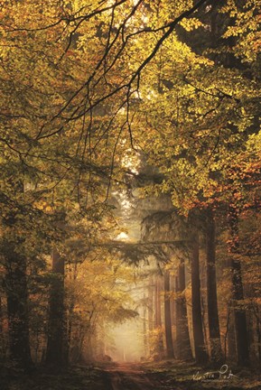 Framed Memories of the Past Print