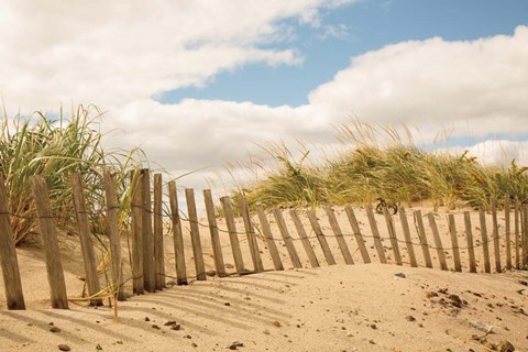 Framed Beach Dunes I Print