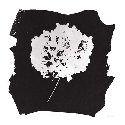 Framed Nature by the Lake Flowers I Black Print