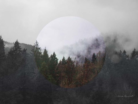 Framed Bold Adventures II v2 No Words Print