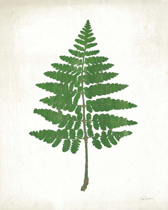 Framed Chalkboard Fern Green II Print