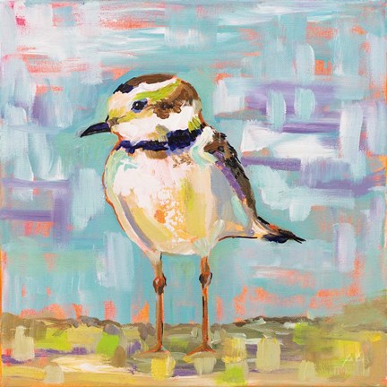 Framed Coastal Plover II Print