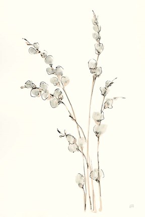 Framed Pussy Willows IV Print