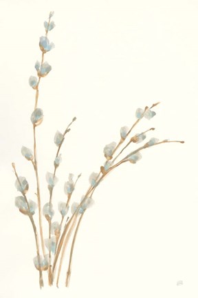 Framed Pussy Willows III Print