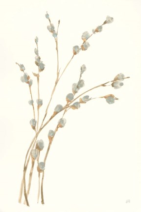 Framed Pussy Willows II Print