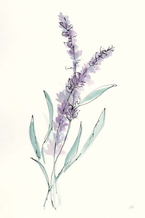 Framed Lavender IV Print