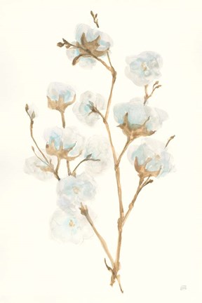 Framed Summer Cotton II Print