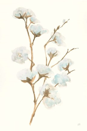 Framed Summer Cotton I Print