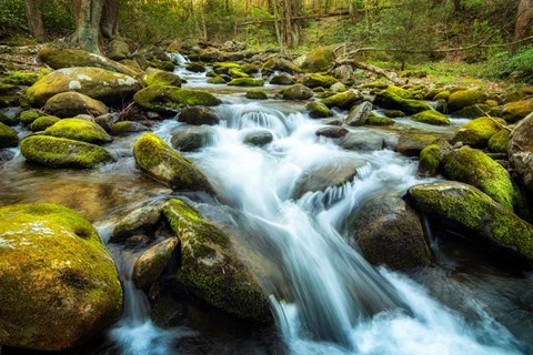 Framed Moss Rocks Print