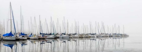 Framed Sailing Boats Panel Print