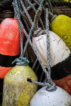 Framed Boat Bumpers I Print