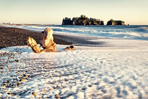 Framed Washed on Shore Print