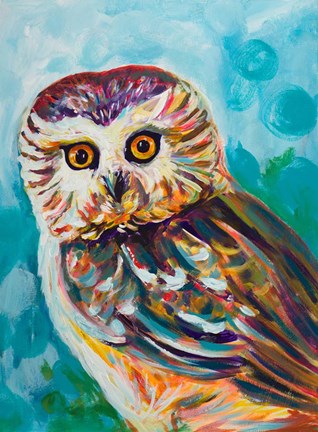 Framed Colorful Owl Print