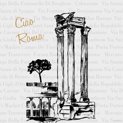 Framed Travel Pack III Print