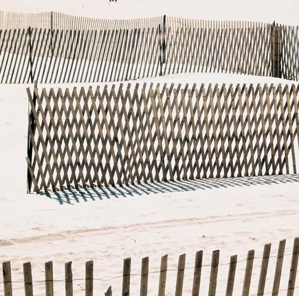 Framed Beach Fence II Print