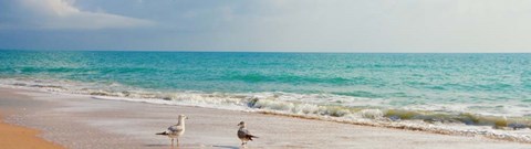 Framed Island Memories II Print