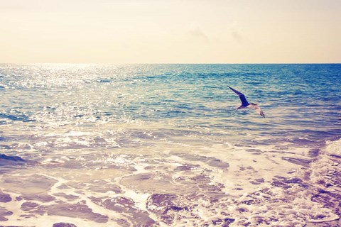 Framed Fly Away Print