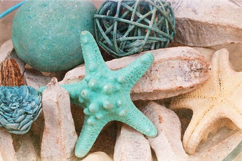 Framed Bundle of Shells I Print