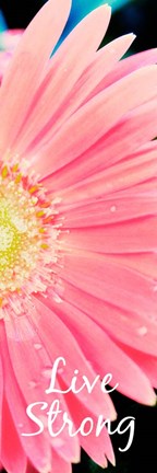 Framed Live Strong Daisy Print