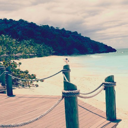 Framed Island Vacation IV Print