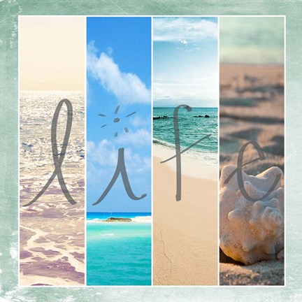 Framed Sea Life Print