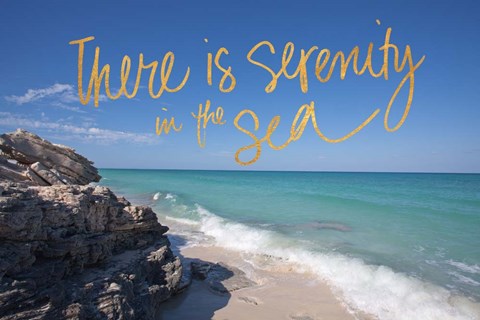 Framed Serenity In The Sea Print