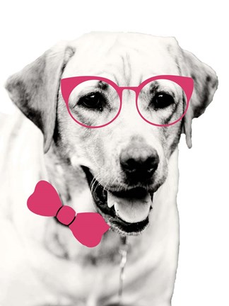 Framed Pink Pop on Pup Print