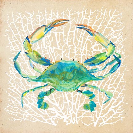 Framed Sealife Crab Print