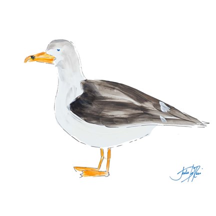 Framed Seagull on White Print