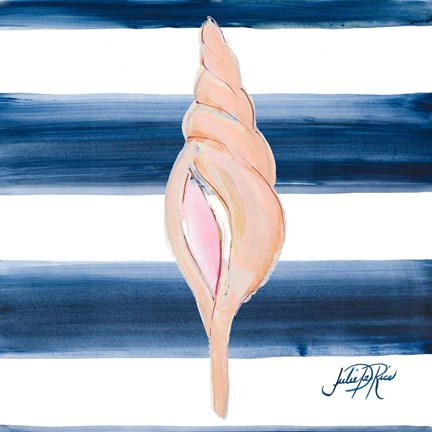 Framed Nautical Shell IV Print