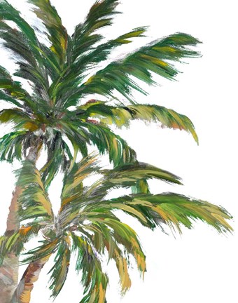 Framed Tropical Trees on White I Print