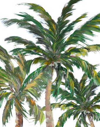 Framed Tropical Trees on White III Print
