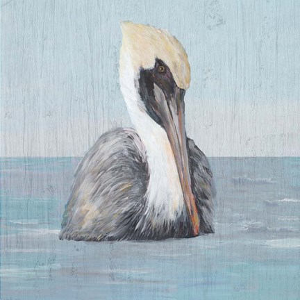 Framed Pelican Wash II Print