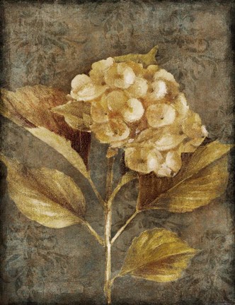 Framed Antique Hydrangea I Print