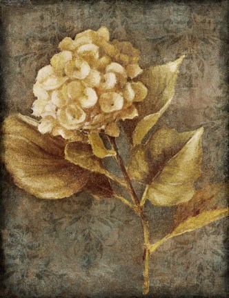 Framed Antique Hydrangea II Print