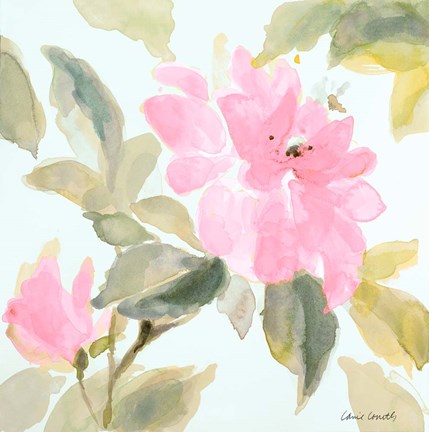 Framed Early Pink Blooms I Print