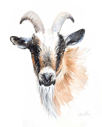 Framed Goat II Print